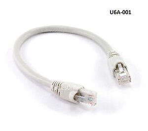 1ft CAT6a 10 Gigabit Intellinet UTP RJ45 Ethernet Network Cable