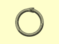 Muzzle Serpent�s Tongue Spell