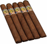 Havana Blend 1959 Cigars - Rothschild 5 Pack