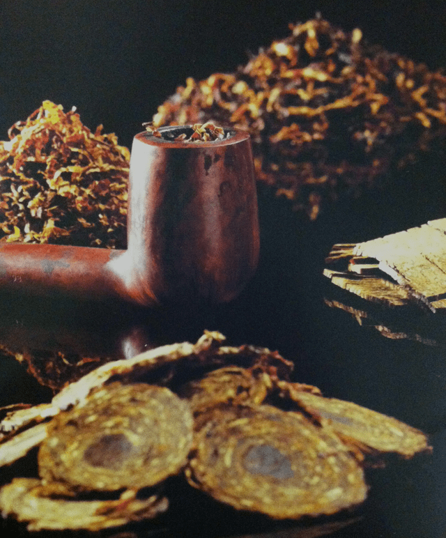 history of tobacco abuse History of Tobacco in the World — Tobacco Timeline