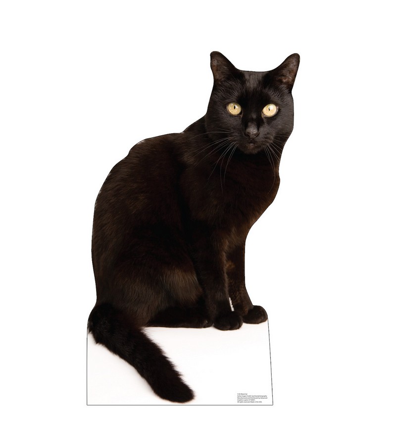 Black Cat Cardboard Cutout