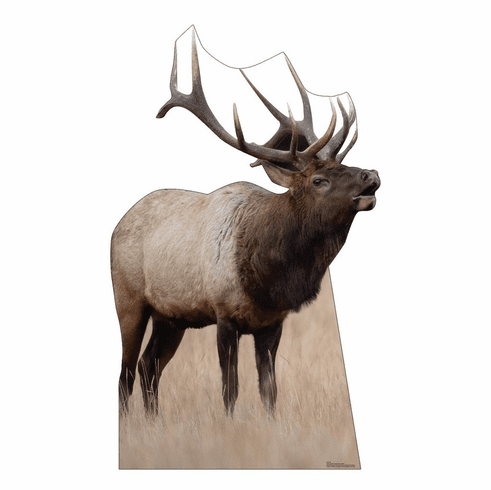 Elk Cardboard Cutout