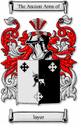 Layer Code of Arms English Family Shield