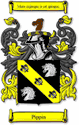 Pippin Code of Arms English Family Shield