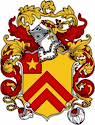 Pope Family Shield - Coat of Arms - English / Welsh