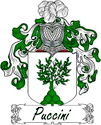 Puccini Family Coat of Arms - Italian