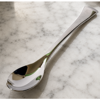 CKTG Rocher Spoon Stainless