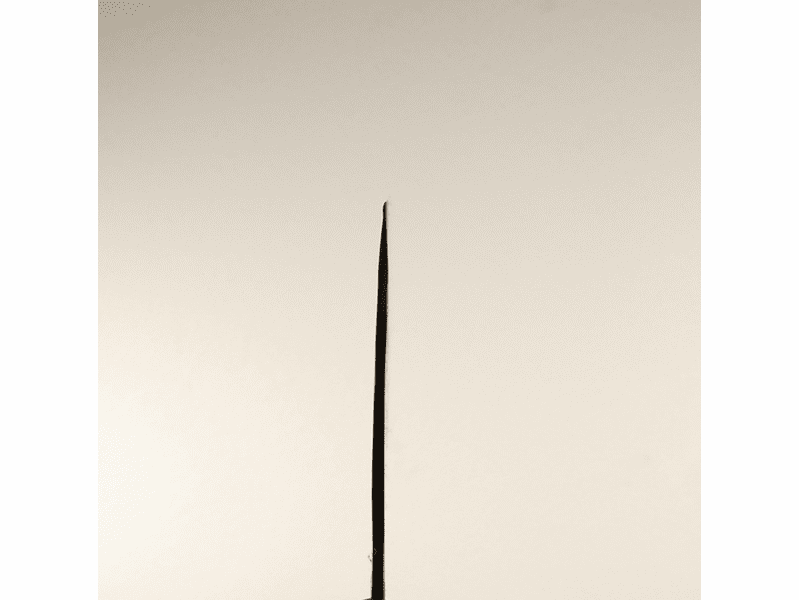 Daovua Leaf Spring Piranha Cleaver 185mm