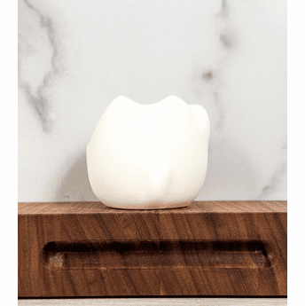 Feng Shui White Cat: Kotobuki Maneki Neko Charm