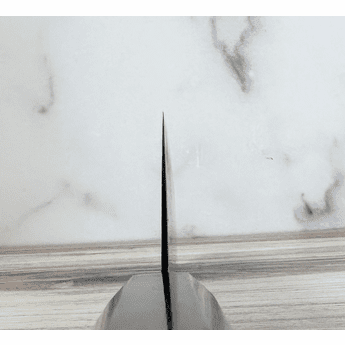 Hatsukokoro Ryuhyo SG2 Kiritsuke 210mm