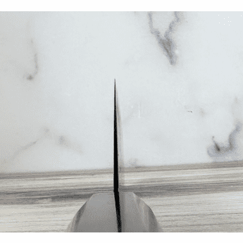 Hatsukokoro Ryuhyo SG2 Kiritsuke 240mm