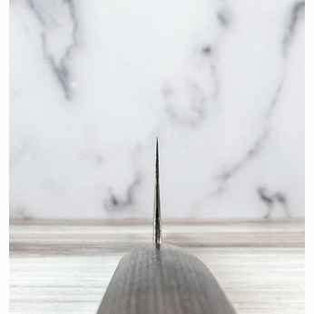 Hon-Tanegashima HAP40 Gyuto 210mm