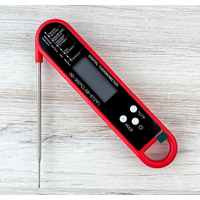 Visit Instant-Read Digital Thermometer - Red