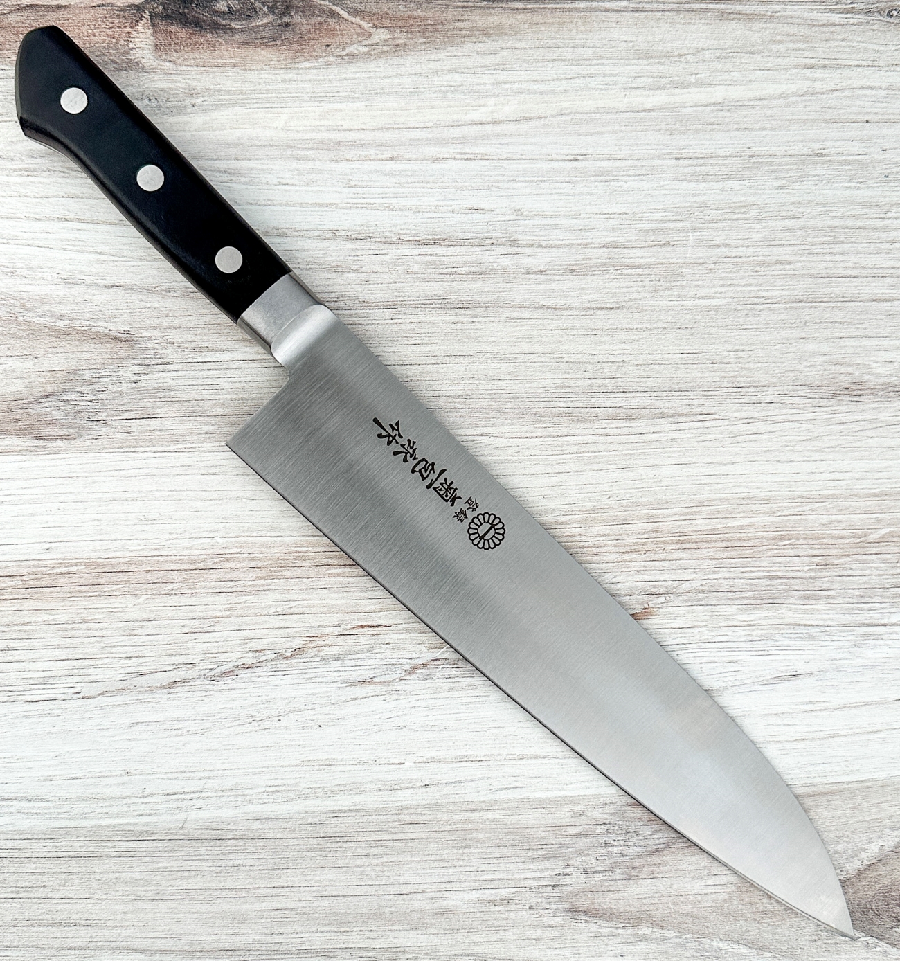 Kikuichi Elite Carbon Gyuto 240mm | SK-5 Sakai Carbon Gyuto