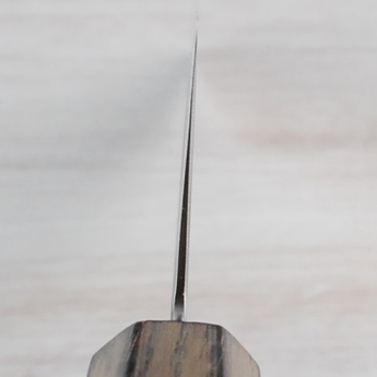 Kohetsu HAP40 Gyuto 240mm - Bent Tip