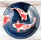 Koi Bowl 9.75 in