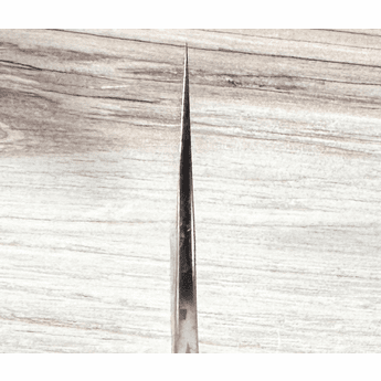Kurosaki Fujin SG2 Gyuto 270mm