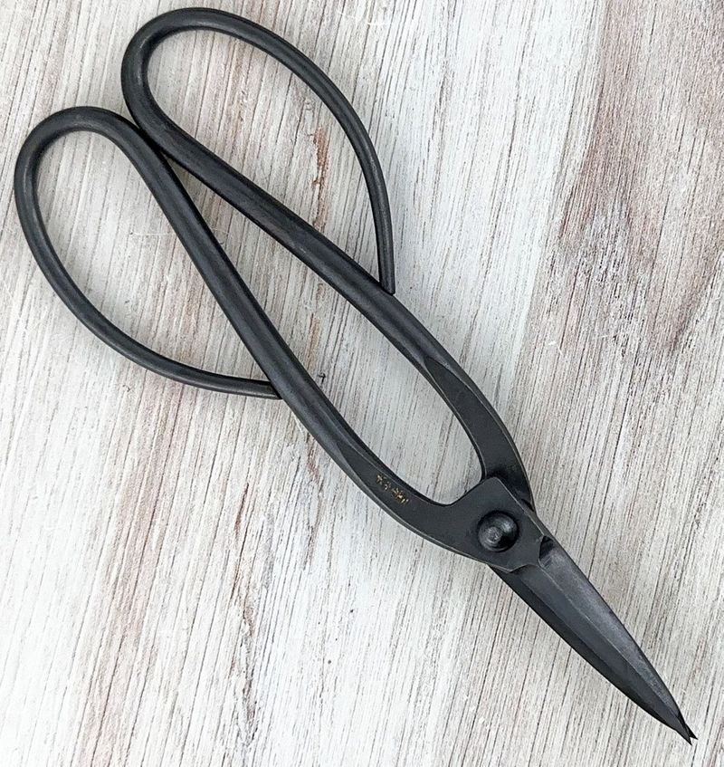 Japanese Bonsai Shears by Nagaike|CKTG
