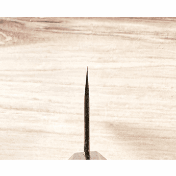 Moritaka AS Gyuto 240mm Custom