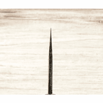 Moritaka AS Kiritsuke 210mm Custom