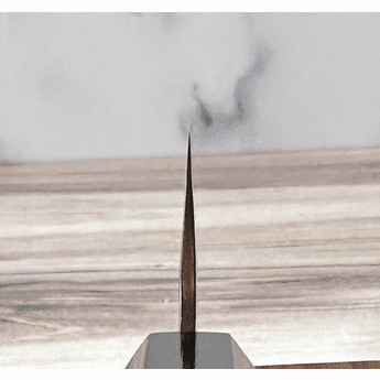 Nakamura Blue #2 Gyuto 210mm Bog Oak