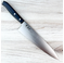 Sakai Takayuki Sumire Gyuto 210mm