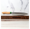 Sentan SLD Nashiji Gyuto 210mm Green