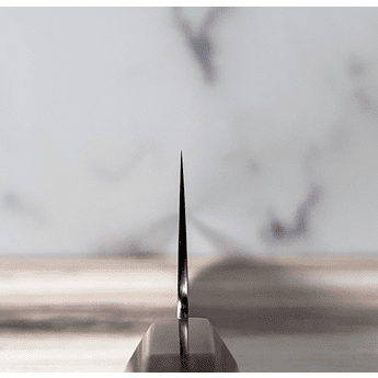 Sukenari HAP40 Gyuto 270mm