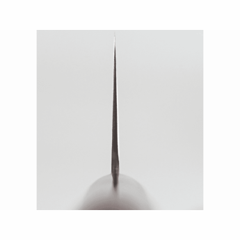 Takamura Migaki SG2 Gyuto 180mm