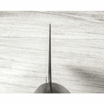 Takayuki Grand Chef Gyuto 210mm