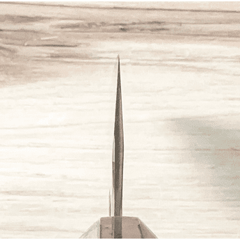 Sakai Takayuki Homura Aogami #2 Kengata 225mm