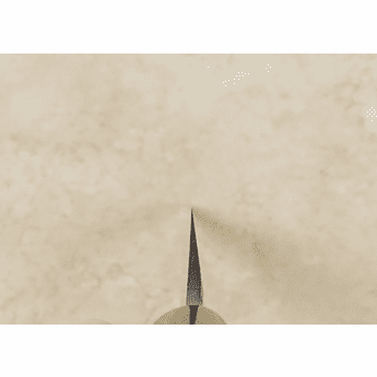 Takayuki Inox Yanagiba 270mm Left Handed