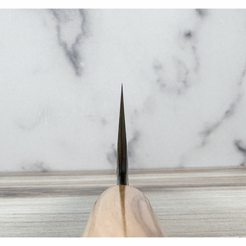 Takayuki Sanpou Mizu Gyuto 210mm