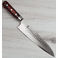 Takayuki VG-10 Hammered Damascus Gyuto 210mm