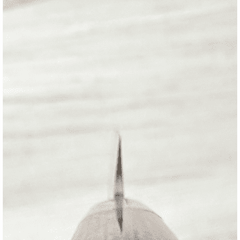 Takayuki VG-10 Hammered Damascus Petty 80mm