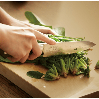 TOJIRO CLASSIC Steak Knife 4-Pc Set