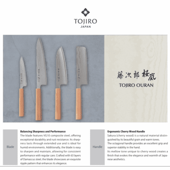 Tojiro Ouran Gyuto 210mm