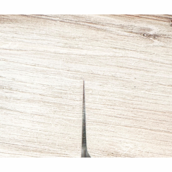 TOJIRO PRO Gyuto 210mm