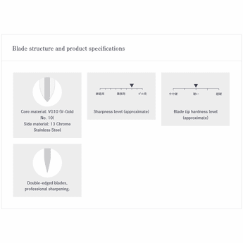 Tojiro Pro Gyuto 240mm
