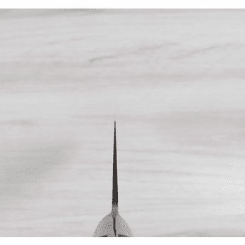 TOJIRO R2 Powdered Steel Gyuto 180mm Sale