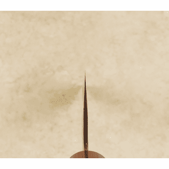 Tsunehisa AS Sakura Gyuto 240mm