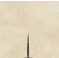 Tsunehisa AS Sakura Sujihiki 270mm