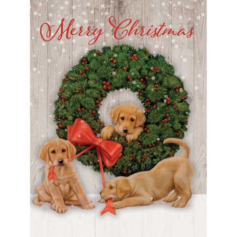 Lang Christmas Boxed Biglietti Di Natale Con Cervo, Set Da 18 Biglietti E 19 Buste. Carta Di Lino In Rilievo, Dettagli Con Lamina E Glitter, Stampa Interna. In Elegante Scatola Ricordo.