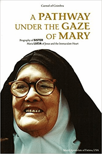 A PATHWAY UNDER THE GAZE OF MARY
