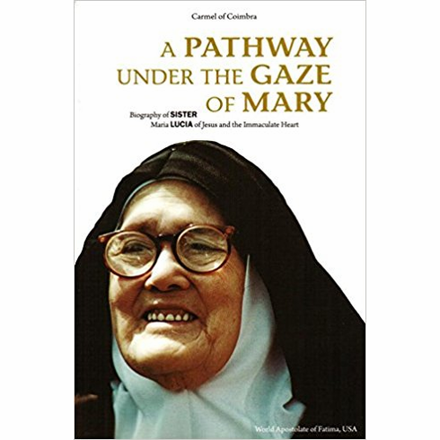 A PATHWAY UNDER THE GAZE OF MARY