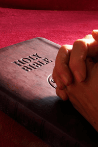 BIBLES & BIBLE STUDY