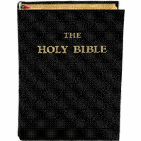 HOLY BIBLE - LEATHER FLEXCOVER