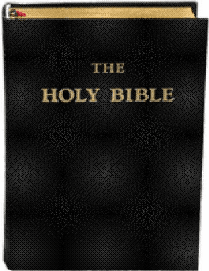 HOLY BIBLE - LEATHER - LARGE SIZE