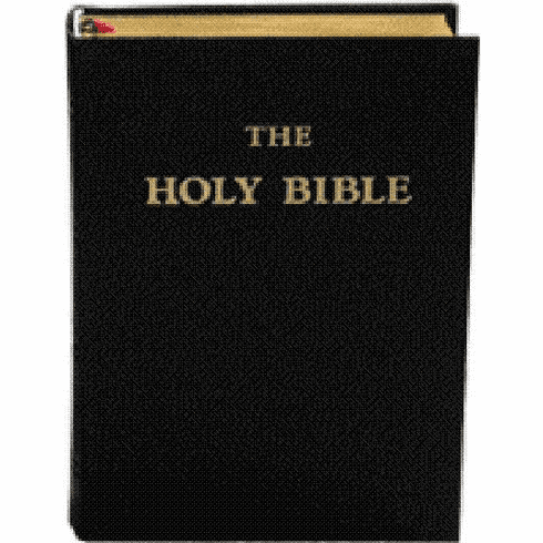 HOLY BIBLE - LEATHER - LARGE  SIZE