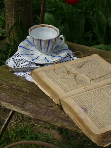 LITERATURE